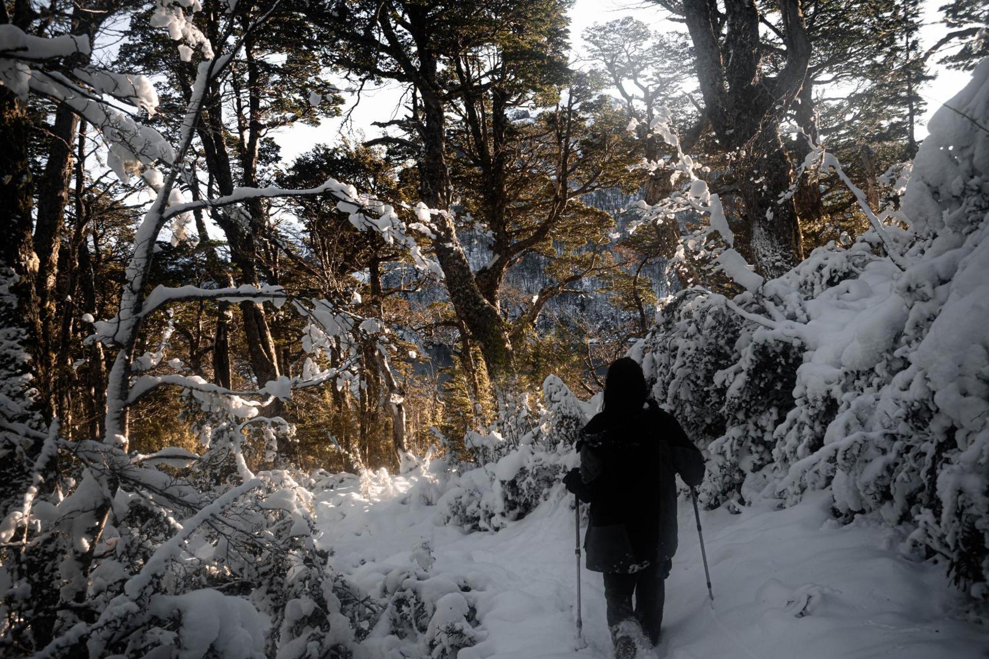 Indomito Hostel San Carlos de Bariloche Kültér fotó