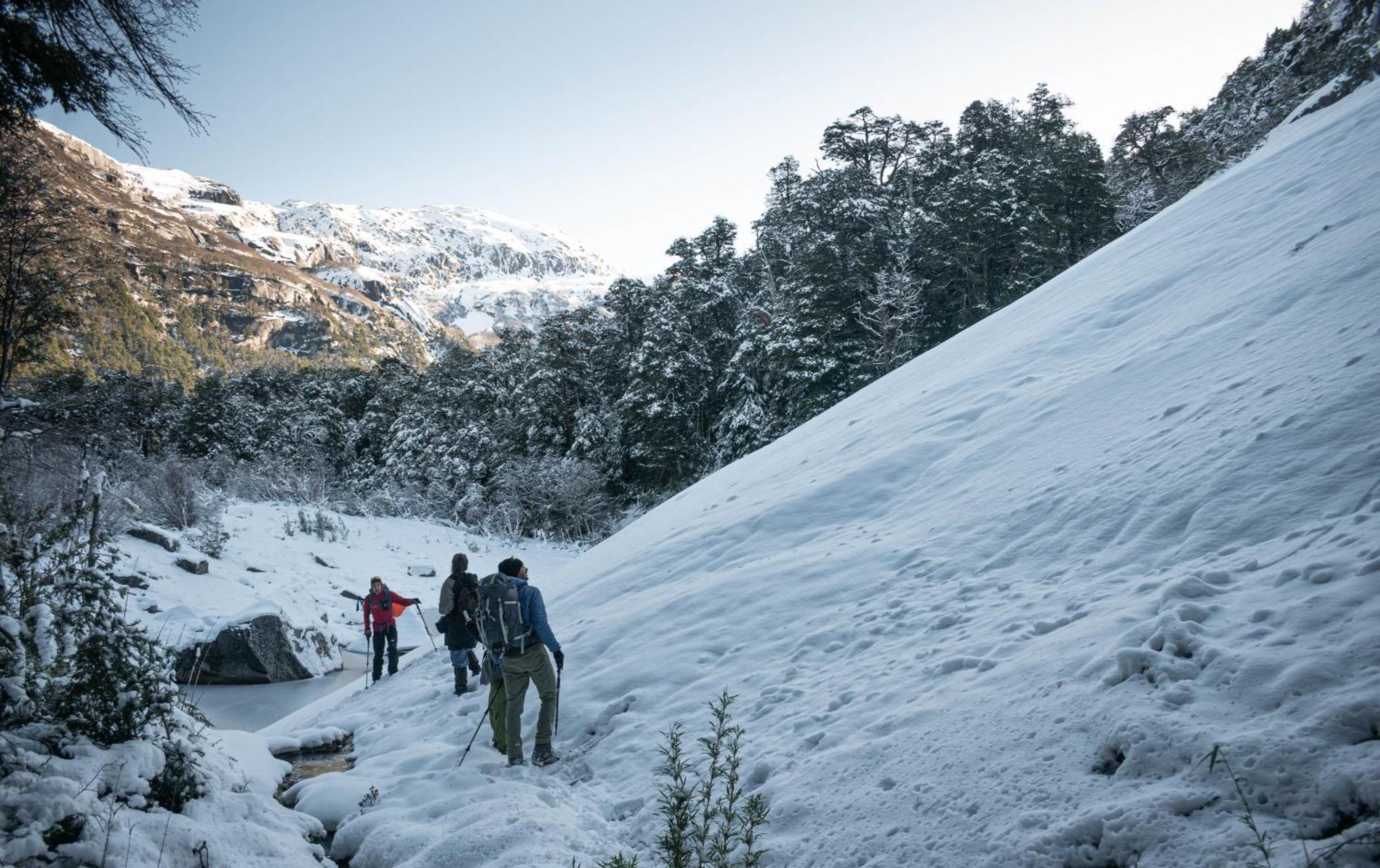 Indomito Hostel San Carlos de Bariloche Kültér fotó